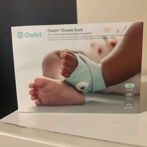 Owlet Dream Sock in Mint